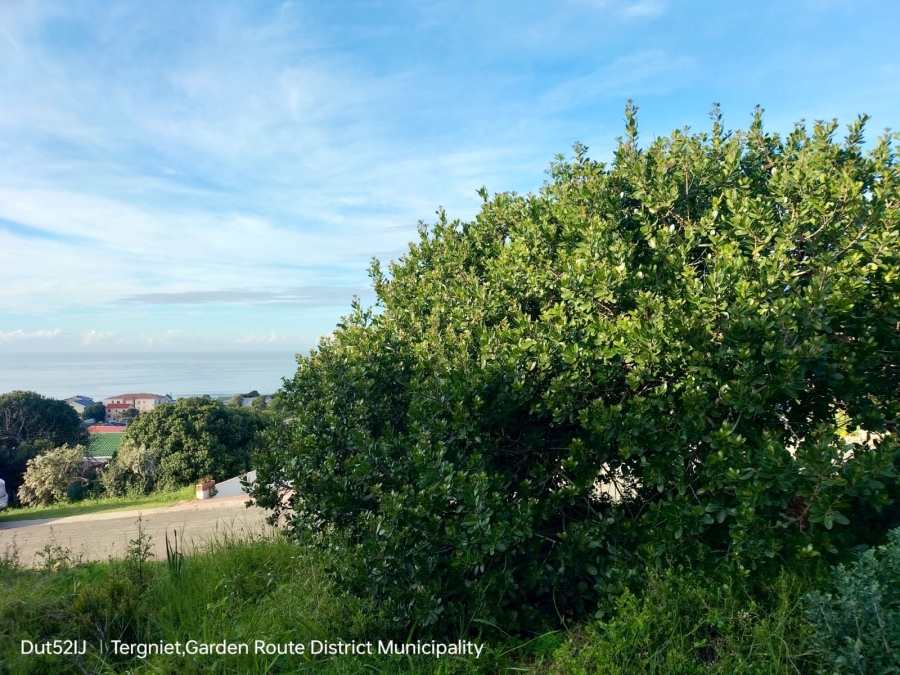 0 Bedroom Property for Sale in Tergniet Western Cape